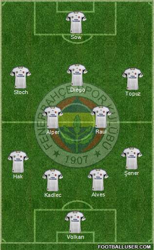 Fenerbahçe SK Formation 2015