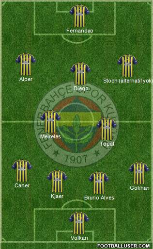 Fenerbahçe SK Formation 2015