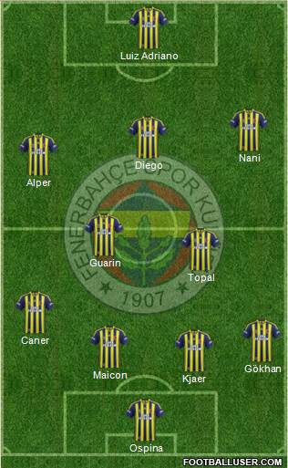 Fenerbahçe SK Formation 2015