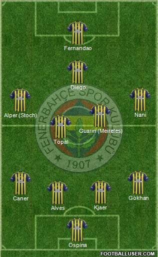 Fenerbahçe SK Formation 2015