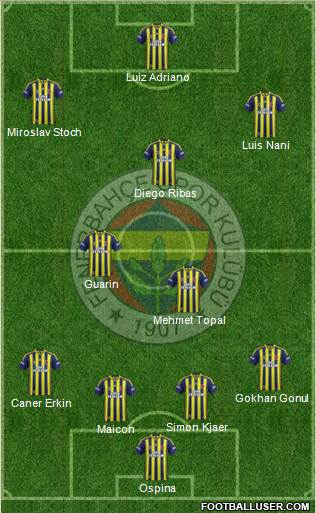 Fenerbahçe SK Formation 2015