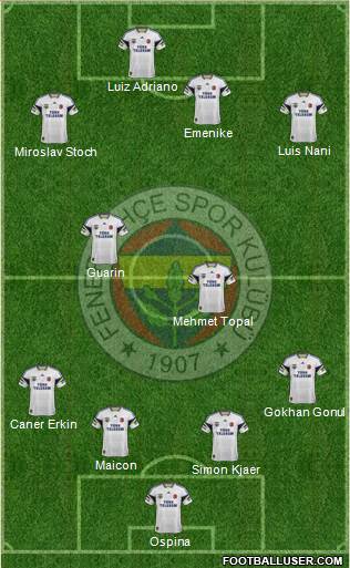 Fenerbahçe SK Formation 2015