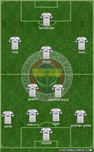 Fenerbahçe SK Formation 2015