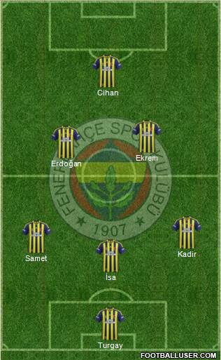 Fenerbahçe SK Formation 2015