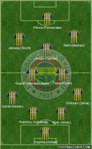 Fenerbahçe SK Formation 2015