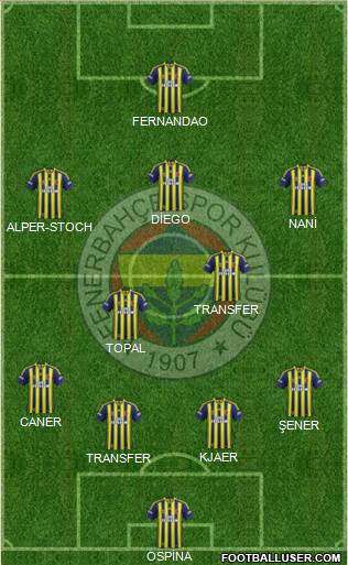 Fenerbahçe SK Formation 2015