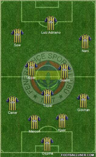 Fenerbahçe SK Formation 2015