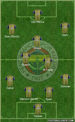 Fenerbahçe SK Formation 2015
