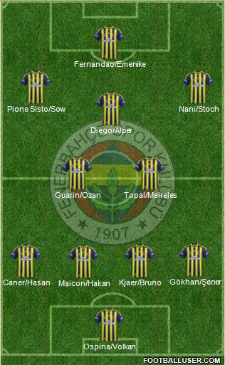 Fenerbahçe SK Formation 2015
