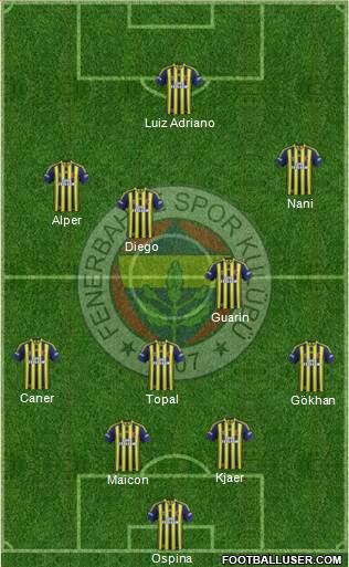 Fenerbahçe SK Formation 2015