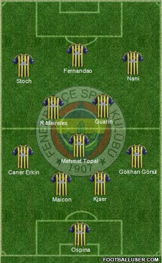 Fenerbahçe SK Formation 2015