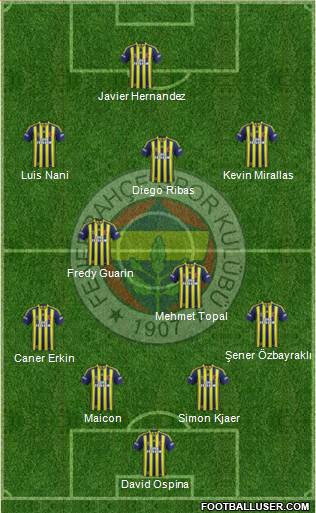 Fenerbahçe SK Formation 2015