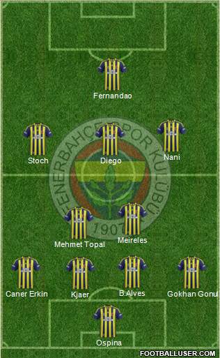 Fenerbahçe SK Formation 2015