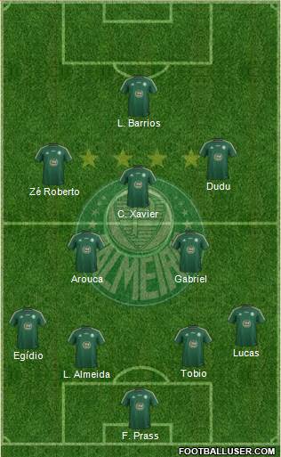 SE Palmeiras Formation 2015