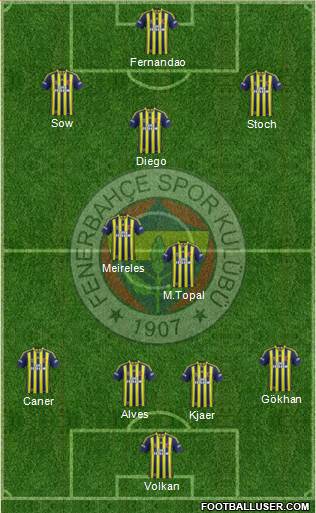 Fenerbahçe SK Formation 2015