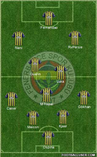 Fenerbahçe SK Formation 2015