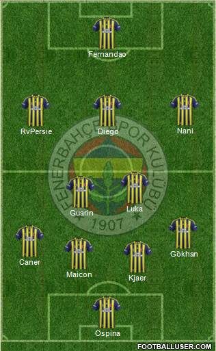 Fenerbahçe SK Formation 2015