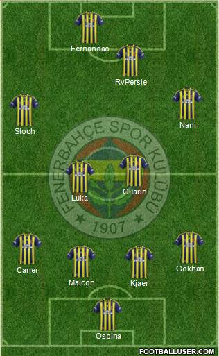 Fenerbahçe SK Formation 2015