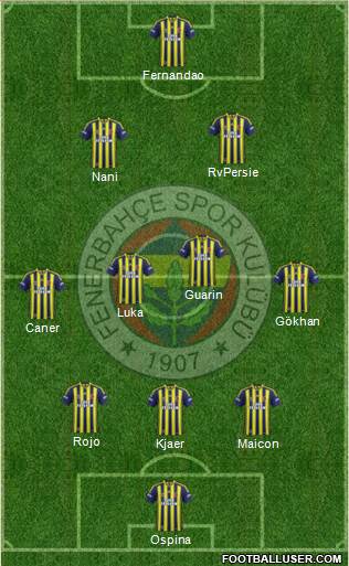 Fenerbahçe SK Formation 2015