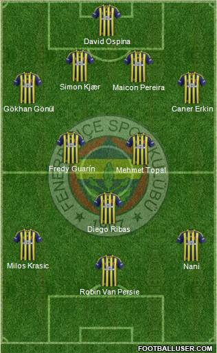 Fenerbahçe SK Formation 2015