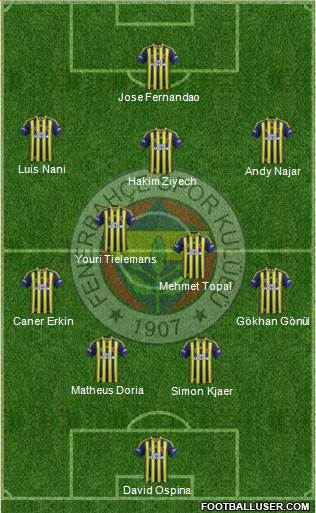 Fenerbahçe SK Formation 2015