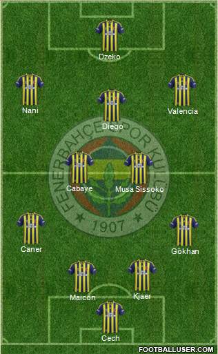 Fenerbahçe SK Formation 2015