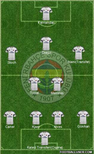 Fenerbahçe SK Formation 2015