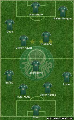 SE Palmeiras Formation 2015