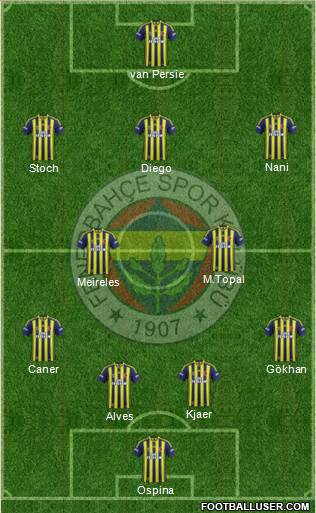Fenerbahçe SK Formation 2015