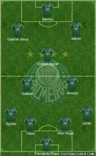SE Palmeiras Formation 2015