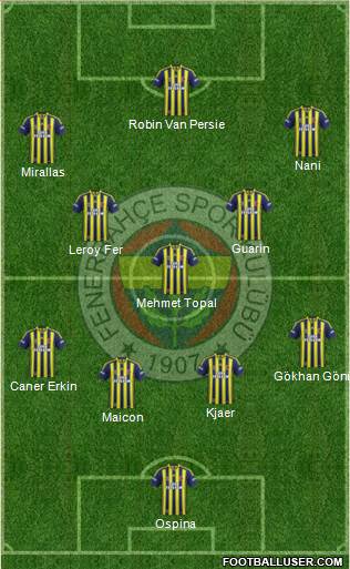 Fenerbahçe SK Formation 2015