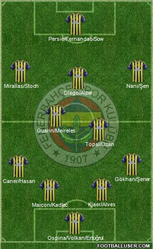 Fenerbahçe SK Formation 2015