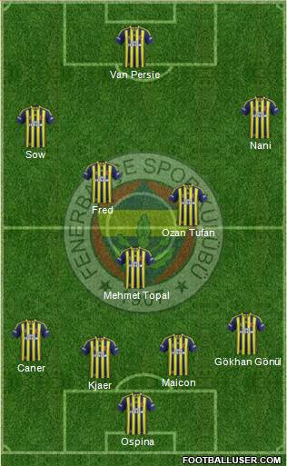 Fenerbahçe SK Formation 2015