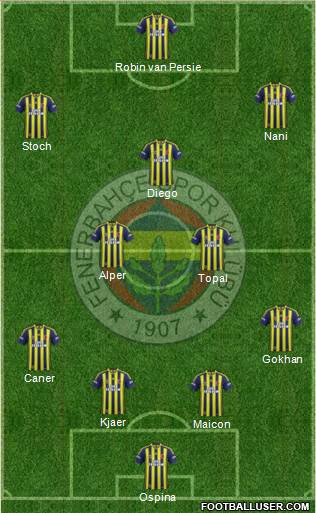 Fenerbahçe SK Formation 2015