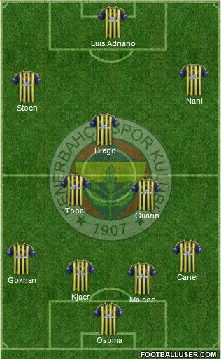 Fenerbahçe SK Formation 2015
