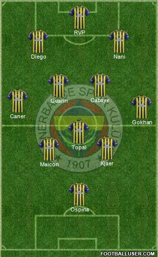 Fenerbahçe SK Formation 2015
