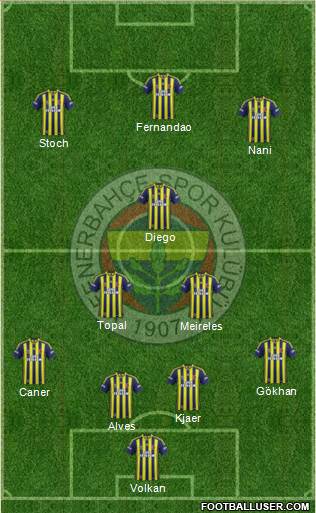 Fenerbahçe SK Formation 2015
