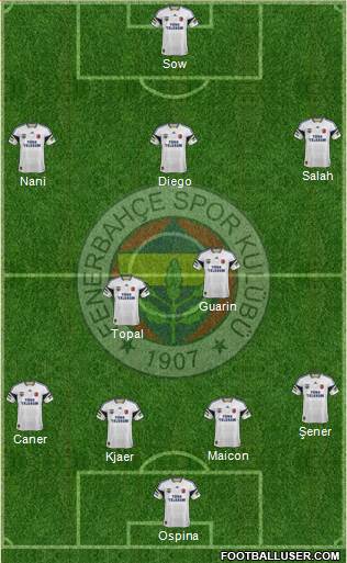 Fenerbahçe SK Formation 2015