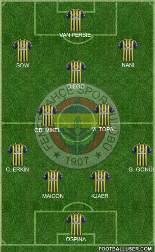 Fenerbahçe SK Formation 2015