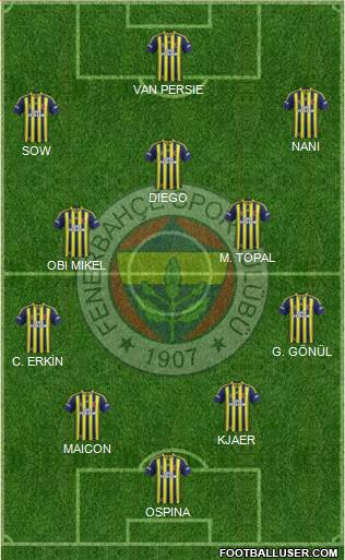 Fenerbahçe SK Formation 2015