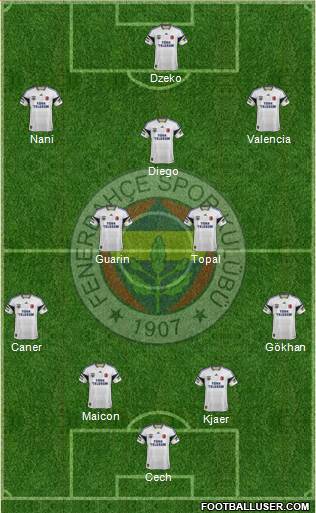 Fenerbahçe SK Formation 2015