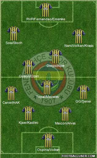 Fenerbahçe SK Formation 2015
