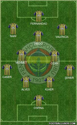 Fenerbahçe SK Formation 2015