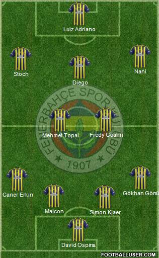 Fenerbahçe SK Formation 2015