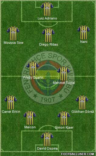 Fenerbahçe SK Formation 2015
