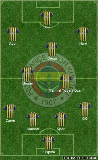 Fenerbahçe SK Formation 2015