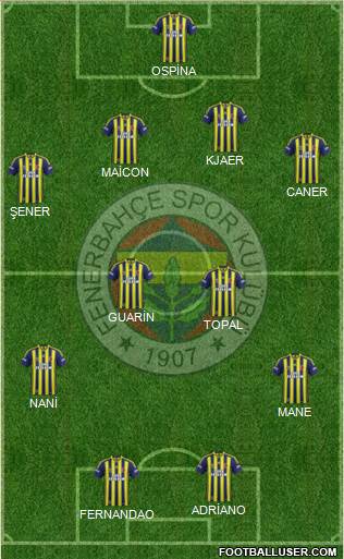 Fenerbahçe SK Formation 2015