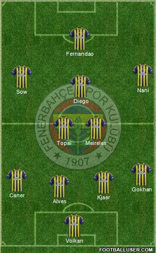 Fenerbahçe SK Formation 2015