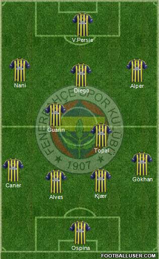 Fenerbahçe SK Formation 2015