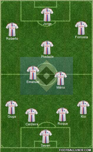 Hamburger SV Formation 2015